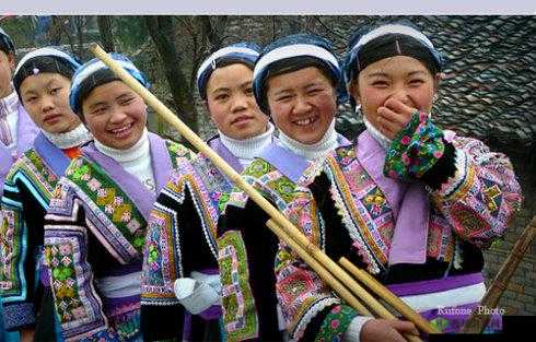 苗族 B 有啥区别:深度探究其不同之处