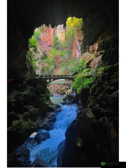 菠萝蜜观看路线仙踪林：探索神秘仙境的奇幻之旅