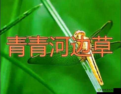 青青河边草高清免费版新闻报道：经典再现备受关注