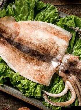 鱿鱼 b2577 直接进入人事局:是捷径还是歧途?