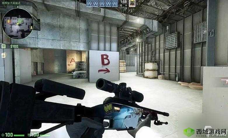 暴躁老阿姨 CSGO：游戏中的霸气存在