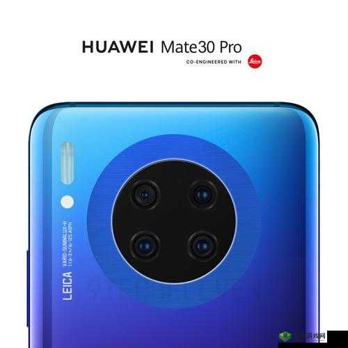 欧美无 mate30pro 巨：华为在海外市场的挑战