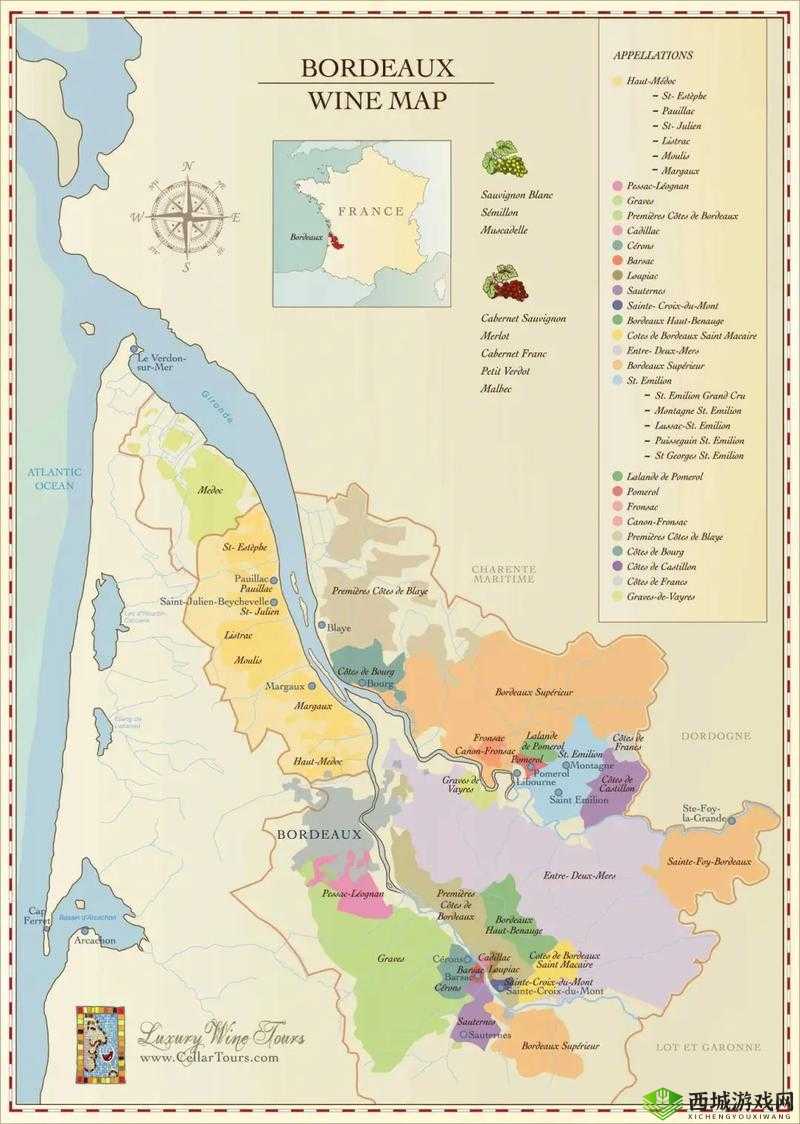 探秘精品产区 WNW2544 独特魅力