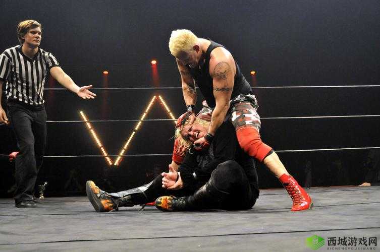 摔跤比赛：wwe 威哥视频 mvp4