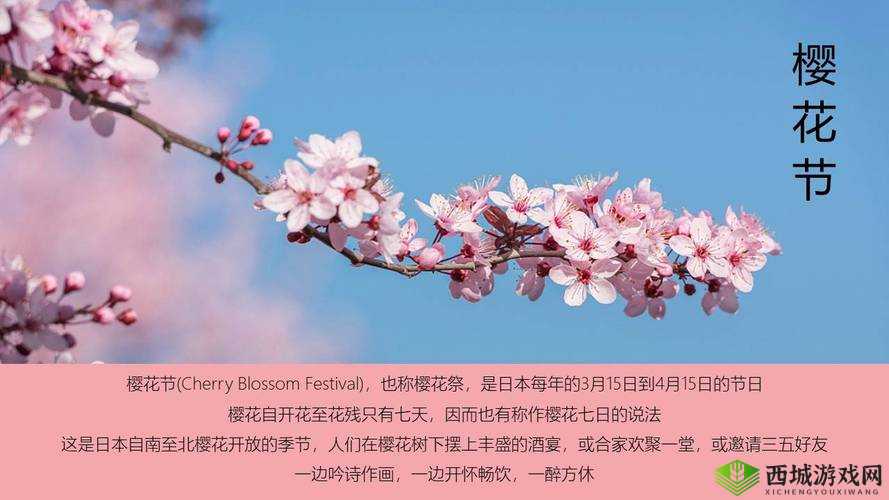 我可以深入了解你的樱花吗之探究