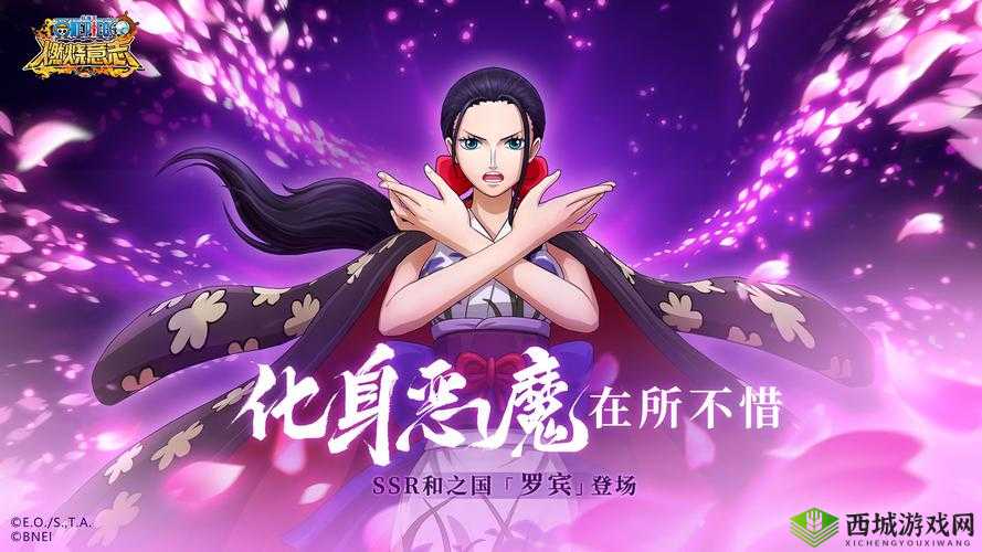 航海王启航:英雄搭配秘籍,打造无敌舰队