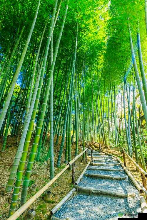 可以进你的后花园吗:探索神秘之地