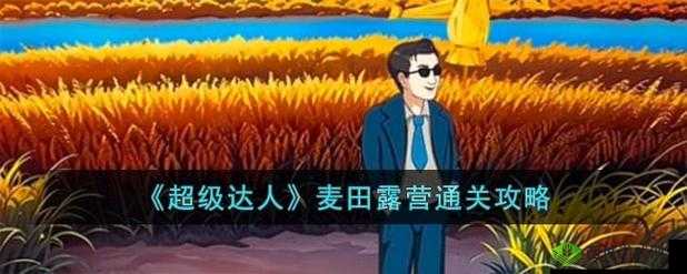 超级达人麦田露营过关全攻略 详细步骤与技巧分享