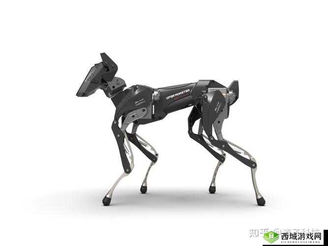 ZOOMSERVO 兽狗产品系列:品质卓越之选