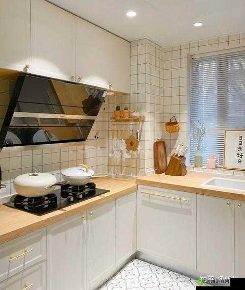 从厨房一路干到客厅好吗:探究家居清洁之旅