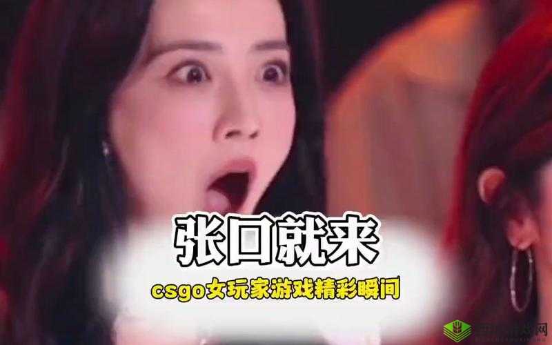 PDD 遇暴躁妹子 CSGO:游戏风云还是暴躁互怼?