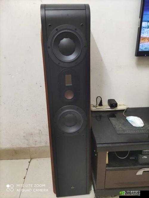 二三线家庭影院有哪些好的产品:惠威、天逸、斯巴克等品牌推荐