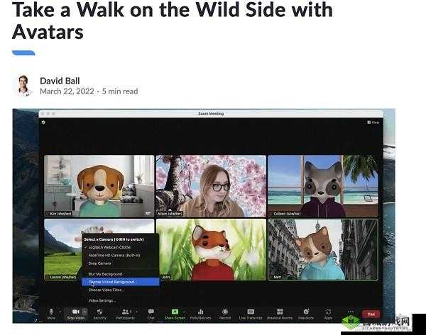 美国 Zoom 与动物 Zoom:神奇的视觉之旅