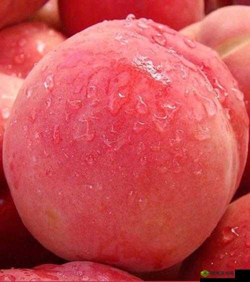 欧产日产国色天香水蜜桃:新鲜诱人的美味之选