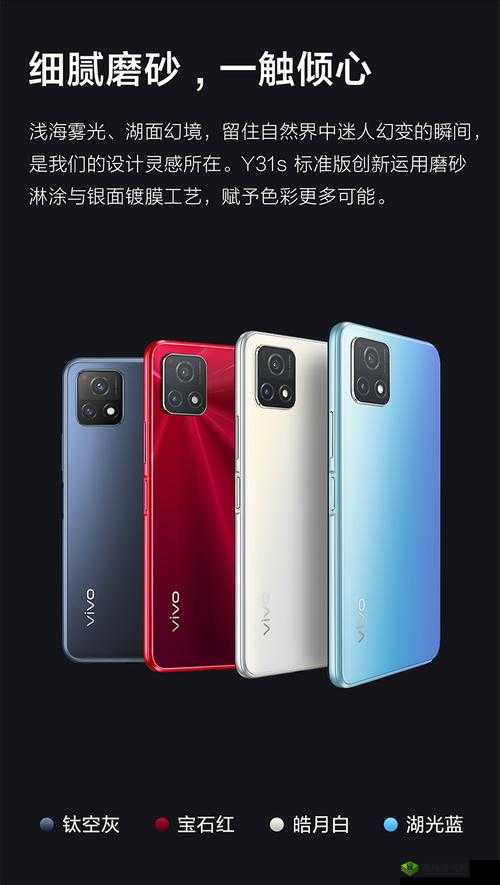 后成色好的 y31s 标准版官网:官方正品直供