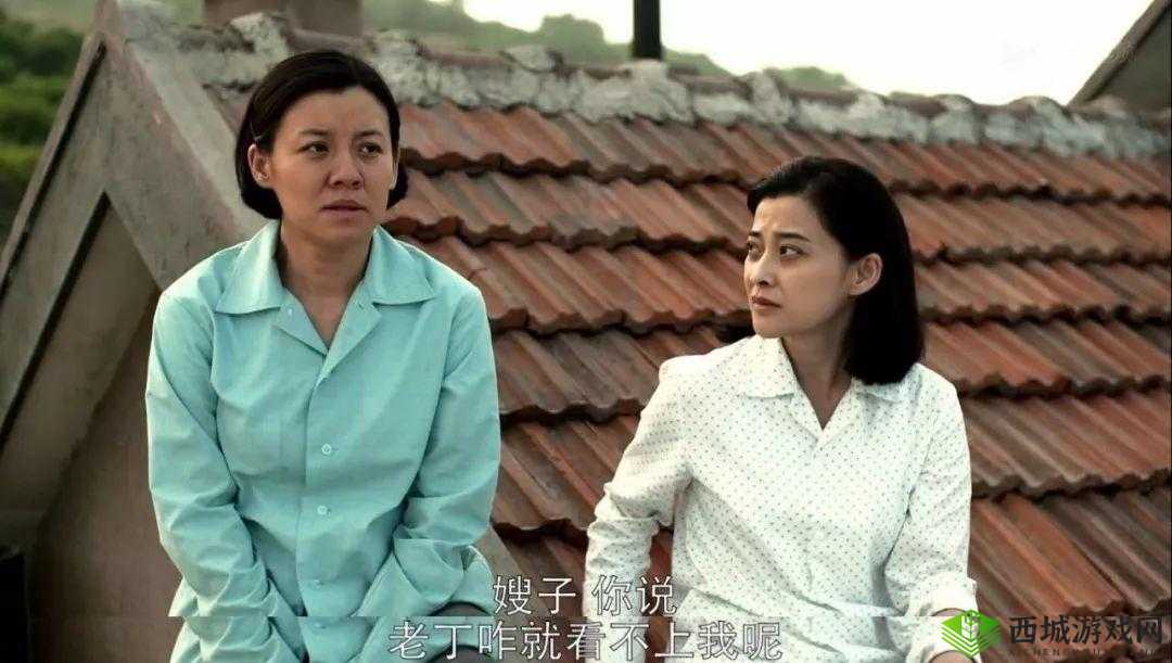 哔哩哔哩适合夫妻看的电视剧:父母爱情甄嬛传请回答 1988等