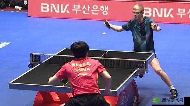 四叔日常 1V2:精彩对决现场