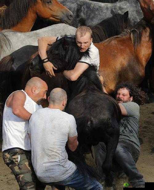 人马大战 CRM :激烈交锋的战场