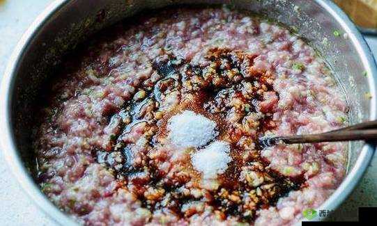 授课方式by肉馅小水饺好看：精彩内容呈现