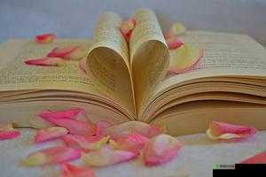 获得超级胬肉系统，开启奇幻旅程