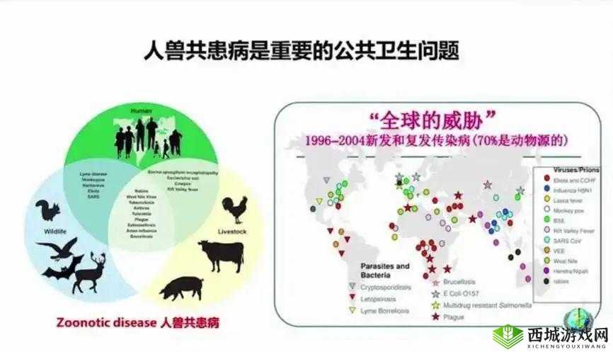 人与畜禽交互:和谐共处的探索
