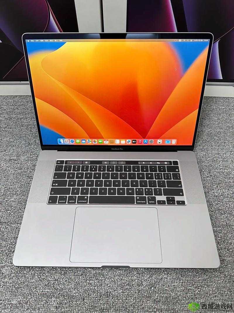 19 岁 MACBOOKPRO 高清:年轻的科技之光