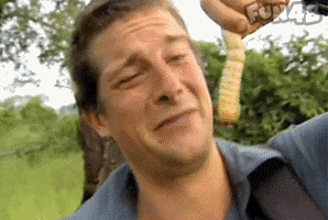 洗手间截了一段小视频食物链:引人深思的片段