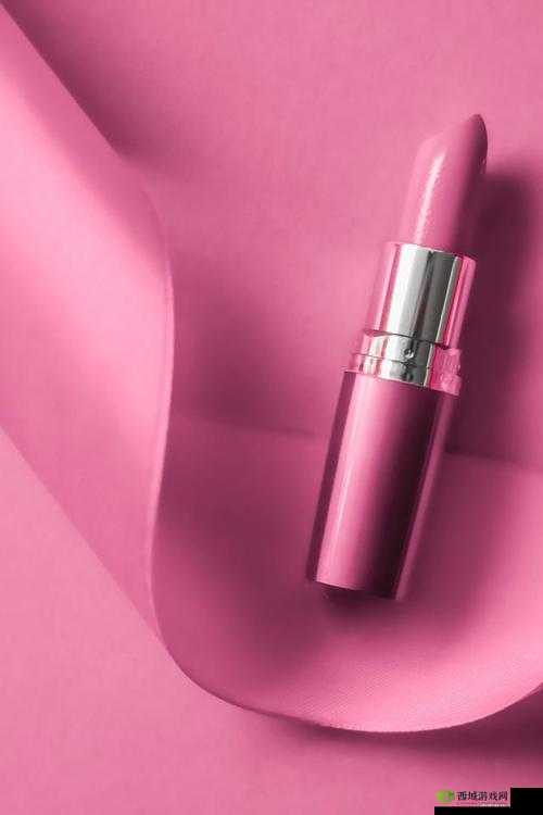 YSL 蜜桃色 WWW：时尚新宠唇色之选