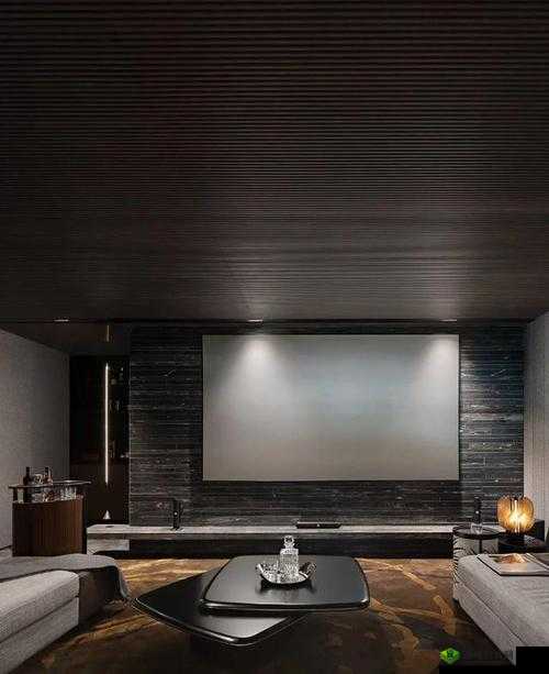 商务影院,打造私密专属空间