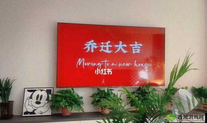 吴梦梦婚礼伴郎试车搬家啦之特别篇