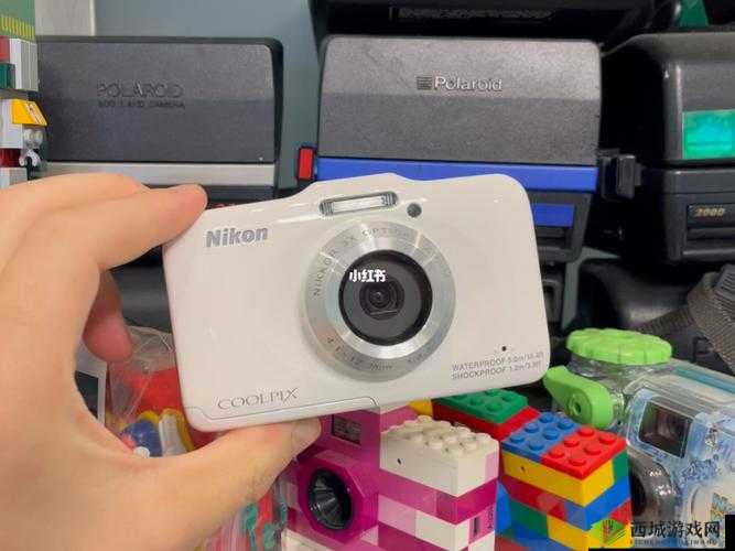 成色好的 S31 标准版：性能卓越之选