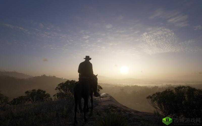 公园里的老年镖客视频大全:情怀不再,镖客已远去