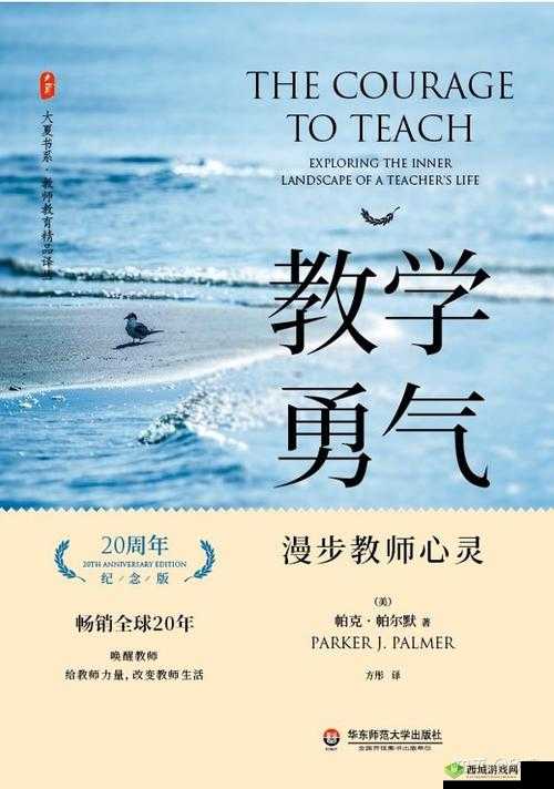 JAVAPARSER 教师 HD ：精彩教学之旅