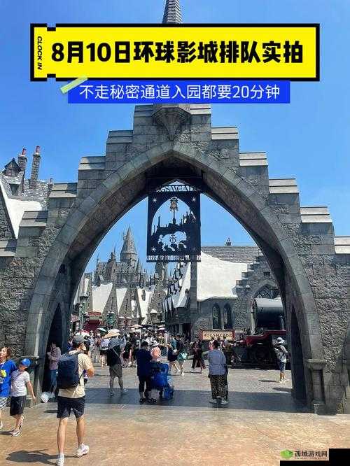 M78 秘密通道免费开放后人数暴涨:引发广泛关注