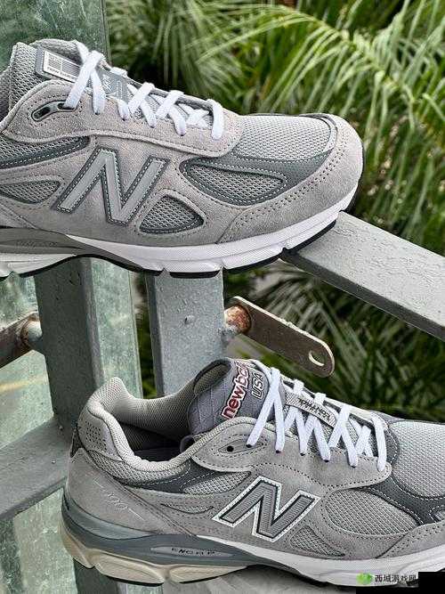 990v6 美版和亚洲版有哪些区别:全面解析