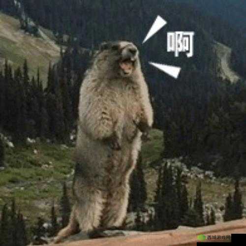 哈啊身体怎么变得越来越奇怪了:探究原因