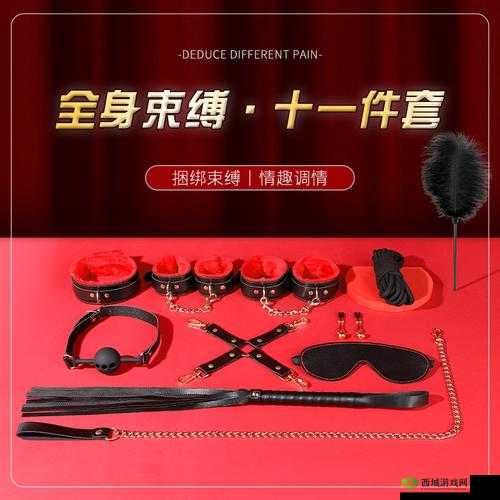 国精产品一品二品国精 HTC:情趣玩具的新选择