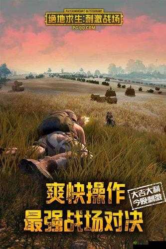 二人世界刺激战场:激情对决之旅