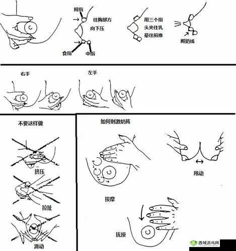 以后挤牛奶拔萝卜怎么拔：技巧分享