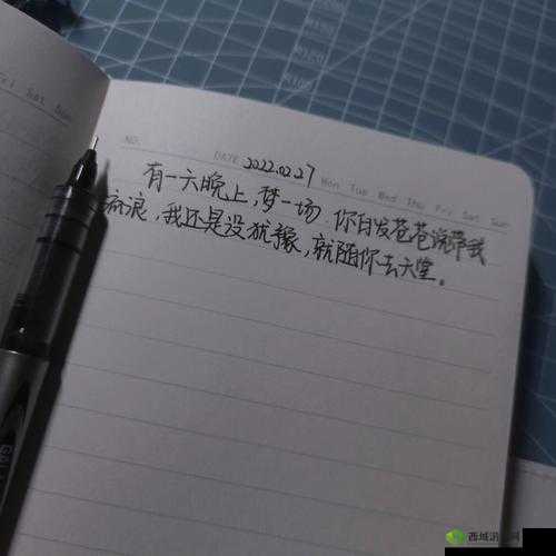 一晚上几次能喂饱你:合理回应探讨