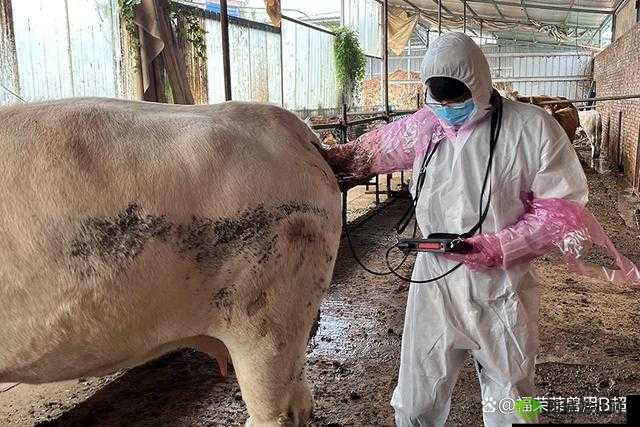 ZOOMSERVO 兽狗产品优势：创新与卓越品质的结合