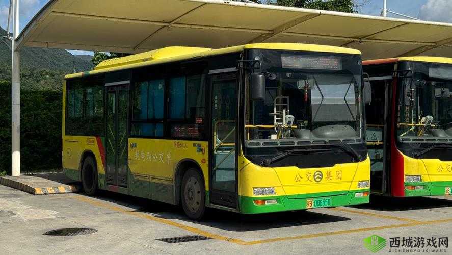 宝贝是不是欠 C 很久了:公交车上的尴尬经历