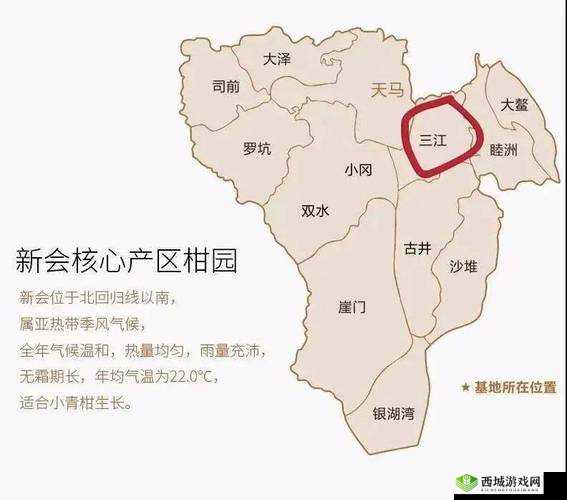 小青柑一线产区与二线产区区别解析