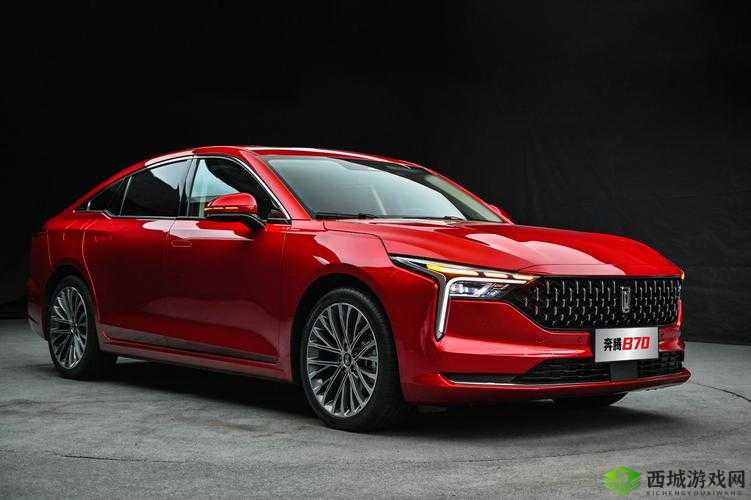 国产精品视频:展现独特魅力与品质