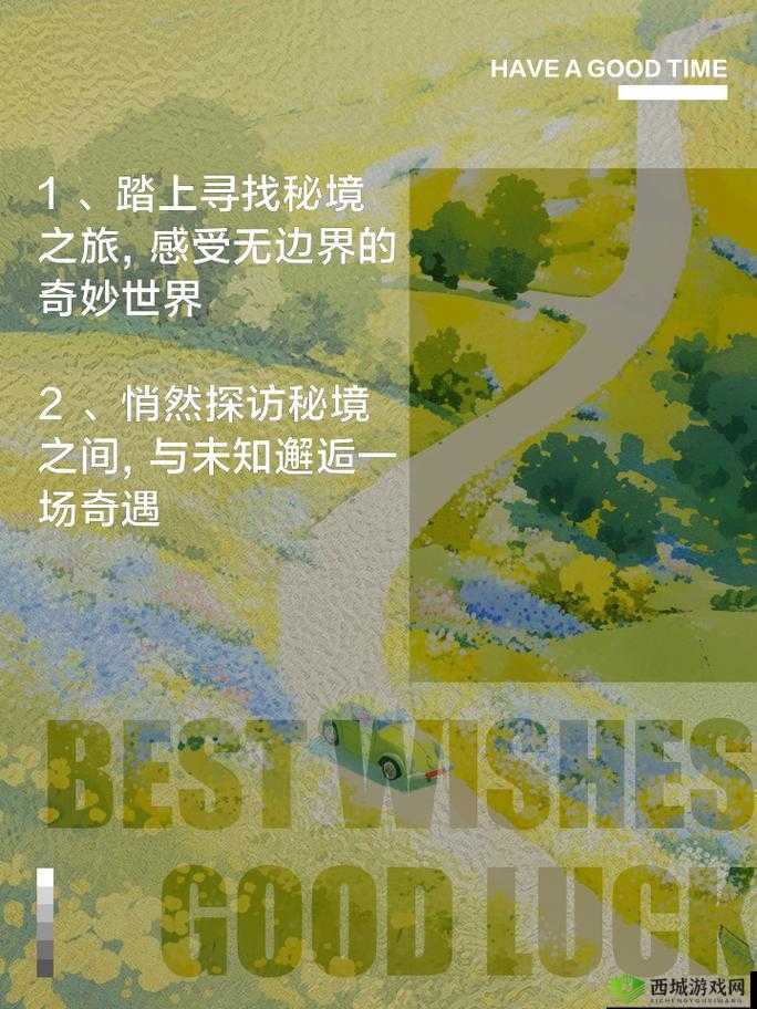 ZW 时看的文案：探索未知的奇妙世界