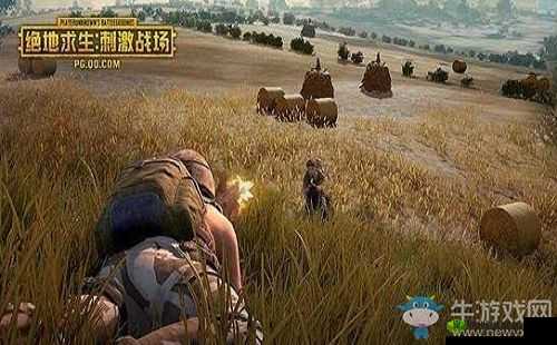 国外 B 站刺激战场直播:热血战斗,激情无限