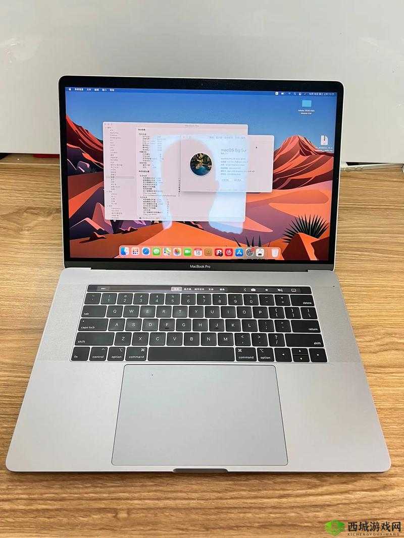 18 岁 MacBook Pro 高清功能:流畅画面呈现