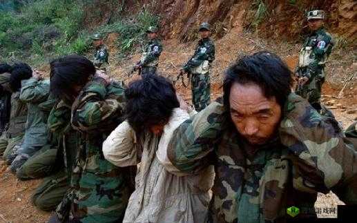 x9x9x9x9 任意槽 2024 免费：等你来体验