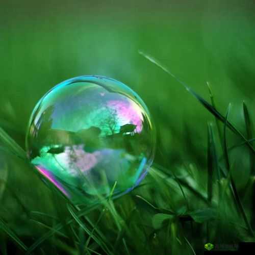 一嘟噜一嘟噜的奇妙景象