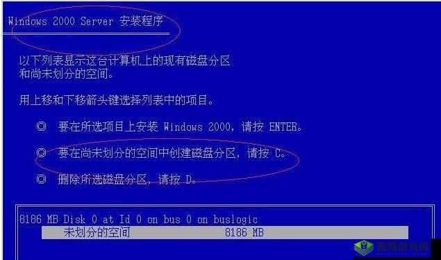 探索日本 Windows Server:揭开日本服务器的神秘面纱